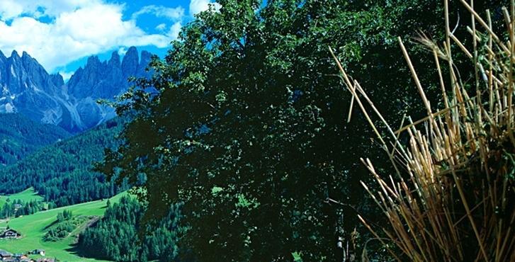 Galreidhof Funes (Bolzano) Exterior foto